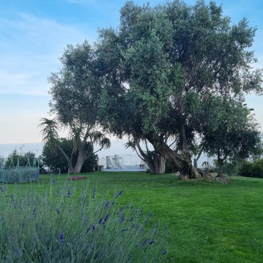 Agriturismo La Tuffatrice Imperia Dış mekan fotoğraf