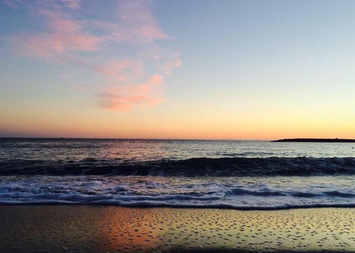 Agriturismo La Tuffatrice Imperia Dış mekan fotoğraf